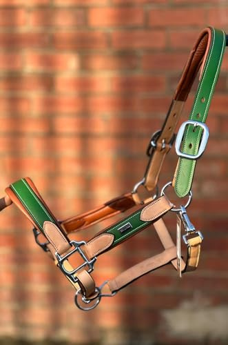 ARGENTINIAN LEATHER HEADCOLLAR HALTER COW LEATHER EXTRMELY SOFT LEATHER GREEN (Pony)