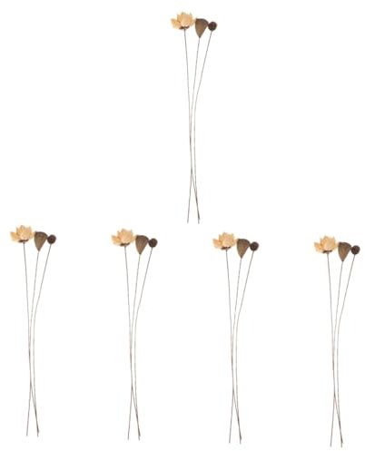 Homoyoyo 5sätze Deko-Arrangement Getrockneten Lotusblumen Stielen Stilvolle Zen-inspirierte Wohnraumdekoration Für Tisch Und Hochzeiten Pflegeleichtes Naturprodukt Ohne Vase