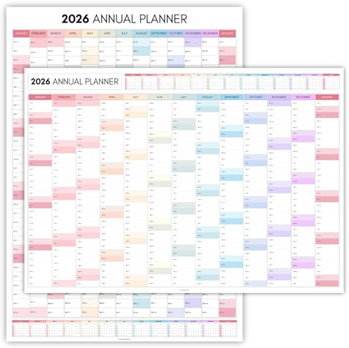 Agenda mensile da parete 2026, formato A3, 42 cm x 30 cm, stampa su entrambi i lati, calendario da parete 2025, agenda annuale, visualizzazione annuale completa, organizer per ufficio, università