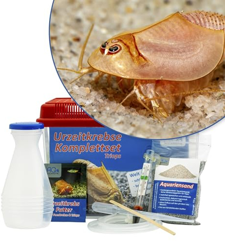 Triops longicaudatus (rot) Starterset 2,5 l, ca. 100 Urzeitkrebs-Eier | 2,5 l Aquarium, Zubehör und Anleitung, Einsteigerset, Triops züchten, für Schlupf, Aufzucht und Beobachtung von Urzeitkrebsen