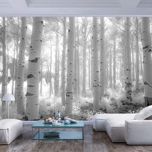 Premium Fototapete Schwarz weißer Birkenwald Tapete Wandtapete Dekorfolie Tapetenfolie Wand Dekoration Wandaufkleber Wohnzimmer