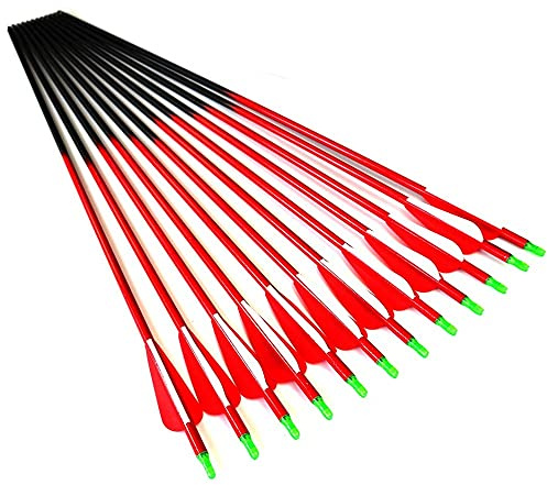 Spine 700 Flèche 30 Pouces Flèche Flèches Carbone Flèche Cible Flèche de Chasse Arc à Poulies Arc Classique Adulte Jeunesse Tir à l’Arc Entraînement 12pcs