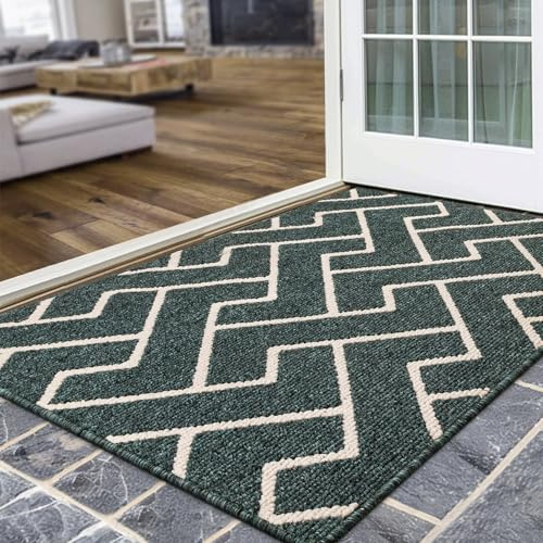 Biscpro Schmutzfangmatte 80 x 100, Rutschfestigkeit Fußmatte,Maschine gewaschen Türmatte für Hund, Außen Innen Garten,Teppich,küchenteppich,Haustür