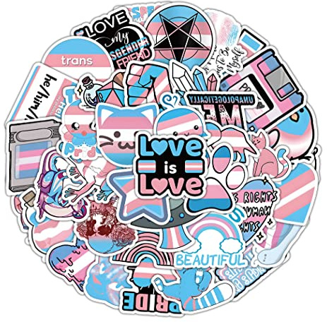 60 Stück Aufkleber Pack Transgender Pride Sticker Set Wasserdichte Vinyl Sticker für Laptop Kinder Autos Motorrad Fahrrad Skateboard Gepäck Koffer Computer Aufkleber Graffiti Decal