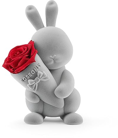 roseonly. Ewige Rose mit Süßen Hase, Konservierte Rosen, Infinity Rose Hase Figur Geschenke für Frauen zum Geburtstag, Valentinstag, Weihnacht, Muttertag, Jubiläum (Standard, Grau-Rot)