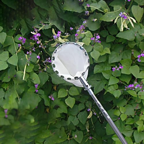 obstpflücker apfelpflücker Verstellbarer Obstpflücker Teleskopische Stange Mit Korb Und Aufbewahrungstasche, 2 3 4 5 6 8 10 M Obstpflücker/ Apfelsammelgerät/ Obstgarten-Birnenbaum-Erntemaschinen, Meta