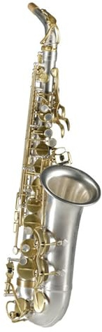 Saxophon für Erwachsene Professionelles Musikinstrument Es Altsaxophon für Erwachsene