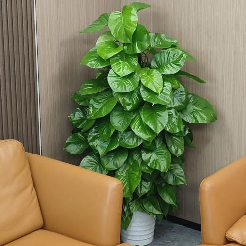 Planta de interior Pothos - semillas macetas semillas de plantas jardín hierbas con plantas en macetas resistentes en -Serie Raras- decoración vegetal hiedra colgante resistentes para 120pcs