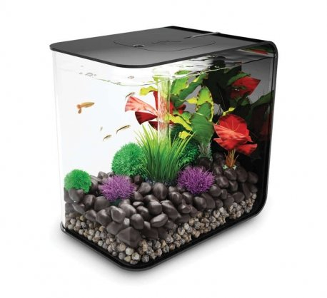 biorb FLOW 30 MCR schwarz