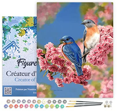 Figured'Art Peinture par Numéro Adulte avec Cadre Couple d'oiseaux bleus - Activité Manuelle Kit de Loisir Créatif DIY Numéro d'Art Complet - 40x50cm toile tendue sur châssis