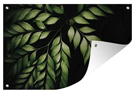 MuchoWow Outdoor-Poster Poster Wanddeko draußen Deko Garten Gartenposter 120x80 cm Die Zweige eines Farns vor einem schwarzen Hintergrund