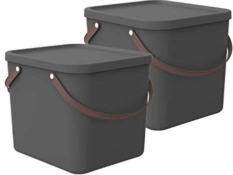 Rotho Albula Aufbewahrungsbox mit Deckel 2er-Set 40 L stapelbar Anthrazit | Aufbewahrungsboxen, jede Box im 2er-Set, mit Deckel, zwei Boxen mit Henkel, sicher verschließbar, stapelbar, platzsparend