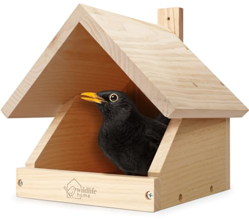 WILDLIFE HOME Amsel Nido semi-aperto in legno massiccio avvitato I Mezza cavità resistente alle intemperie e non trattata I Mangiatoia per uccelli da appendere per mezza caverna, pettirosso, ecc.