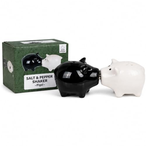Topshop24you Lot de 2 salières et poivrières en céramique avec aimant Motif cochon