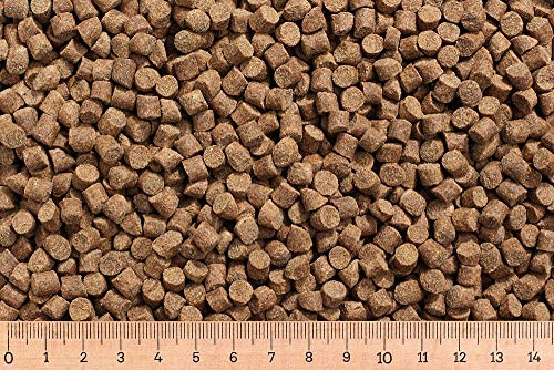 (Grundpreis 2,55 Euro/kg) - 10 kg Karpfenfutter AC 6,0 mm 30/7 sinkend - Karpfen - Karpfenpellets