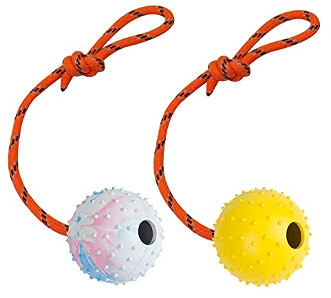 Nevperish Hundeball, K9-Ball, Vollgummiball am Seil für Belohnung, Apportieren, Spielen, 2 Stück (6 cm)