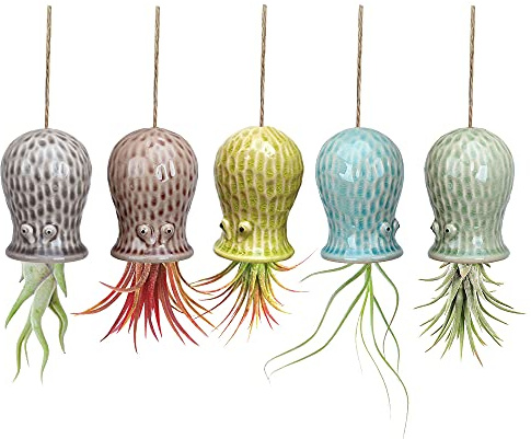 Mimeela Lot de 5 Supports de Plantes aériennes Uniques en Forme de Pieuvre - en céramique - Décoration Murale à Suspendre pour la Maison et Le Bureau - Taille S (5,1 x 8,1 cm)