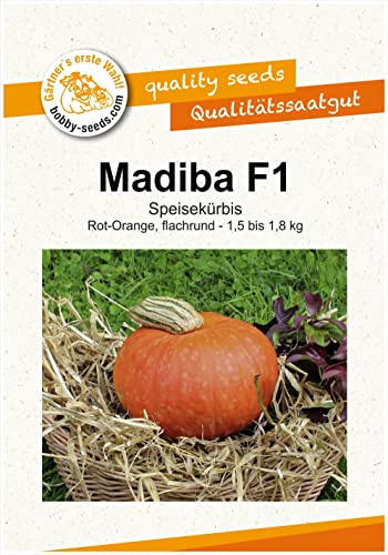 Kürbissamen Madiba F1 Portion