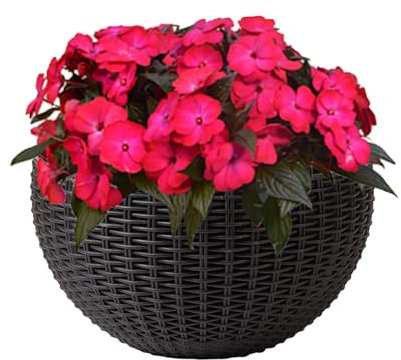 Wall Pots Plants Indoor, Imitation Rotin, Elegant Semicircular Design, Space-Saving Floral Display, 10.24x8.07 Inches, Ideal for Orchid Pothos Begonias Petunias Impatiens Decor