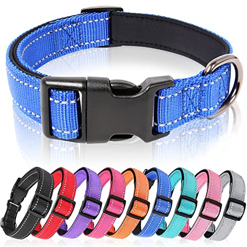 HEELE Hundhalsband, Reflekterande Nylon Hundkrage, Halsband för Hund Justerbar med Mjuk Neopren Vadderad, Halsband för Små Hundar, Kungsblått, S