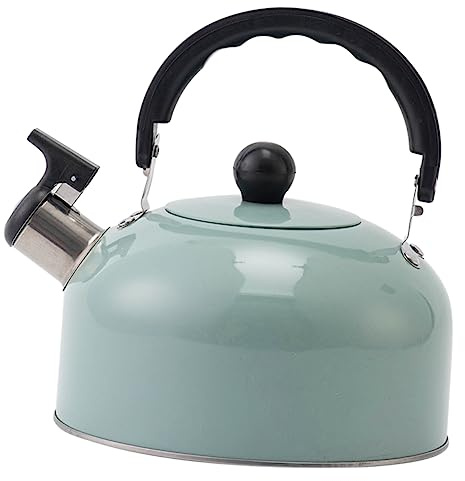 TOPBATHY Bouilloire Sifflante à Fond Plat Pour Cuisine Compatible Induction Et Gaz Facile à Remplir Et Nettoyer