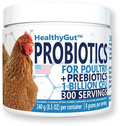 Equa Holistics HealthyGut Probiotics for Chickens & Poultry, All-Natural Digestive System Dietary Supplement (30 Scoops)