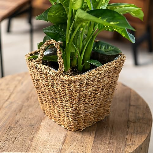 DARO DEKO Seegras Korb eckig Natur 29 x 29 x 23cm mit Einsatz und Henkel Blumentopf geflochten Aufbewahrungskorb Übertopf Blumenkorb