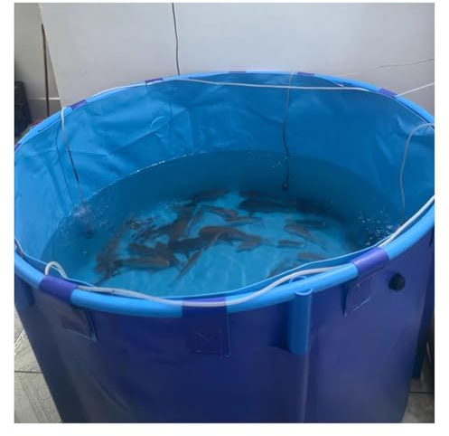 Rygcrud Above Ground Canvas Fish Pond, Large Collapsible Swimming Pool - PVC Liner/Fabric with Bracket, Round Outdoor Holding Tank for Koi/Goldfish(1.2x0.6/680L)