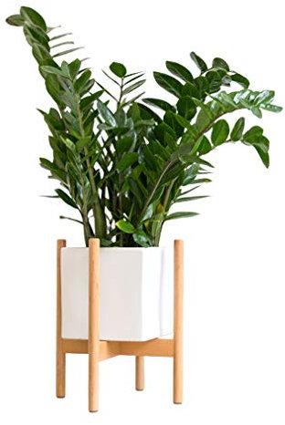 KDDEON Blumenständer Massivholz,Blumentreppe Indoor,Wohnzimmer Balkon Bodenstehend Blumenregal Mittelalter Pflanzenregal
