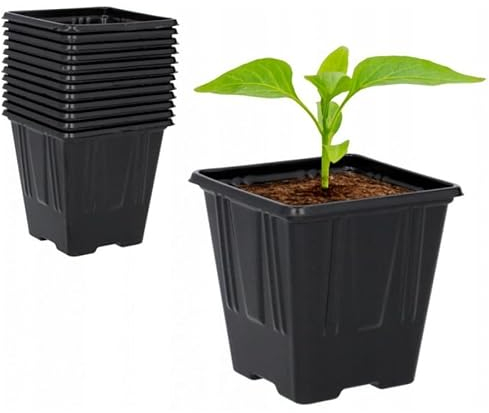 MIKONI Anzuchttöpfe quadratisch Anzuchtschale Aussaattöpfe Schwarz Ziehtöpfe Anzuchttopf (20, 7 cm)