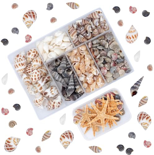 110 Estrellas de Mar y Conchas de Mar Decoracion Natural, Caracolas de Mar y Estrellas de Mar Decoracion OMO Decoracion Verano Decoración de Playa para Decoración de Peceras Velas Artesanías