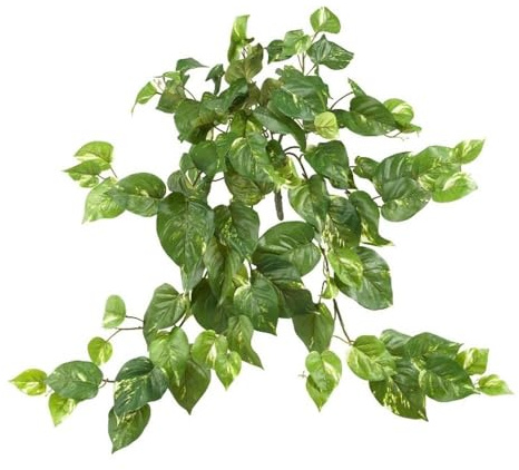 Nearly Natural 30IN Pothos Hanging Plants, Set of Three (3) Fake Bushes for Indoor Home Décor, Faux Vines for Wall or Hanging