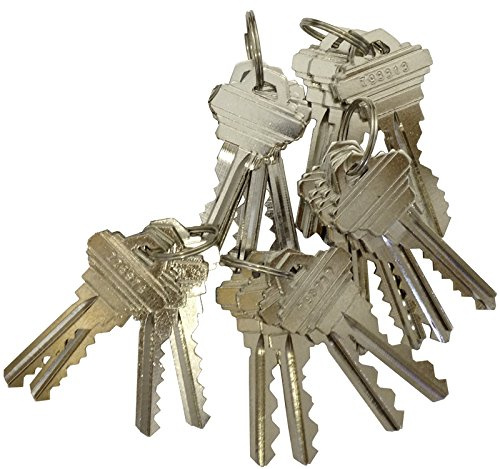 20 Pieces SC4 Schlage Compatible Precut Keys 6 Pins 5 Sets of 4 SC Keys