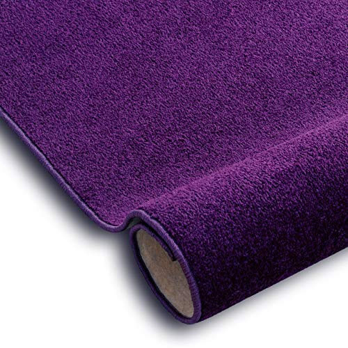 rugsx Teppich Eton für Wohnzimmer und Schlafzimmer Violett lila 300x400 cm