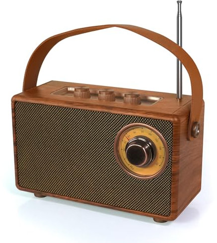 FUNFOR Retro Radio, Vintage Bluetooth Speaker with FM Radios, Small Portable Radios Mains and 1500mAh Battery, Support TF Card/AUX/USB, MP3 Player, 5W Speaker, Bluetooth 5.0