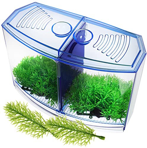BESPORTBLE Plastikfischtank Mit Trennwanddesign Transparent Und Blau Als Tischdekor Für Kleine Wasserpflanzen Geeignet Inklusive Kunststoff-aquariumpflanzen Für Aquarien Und