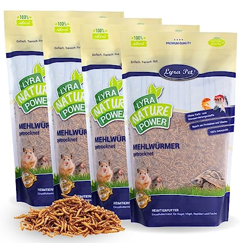 Lyra Pet® 4 x 1 kg vers de Farine séchés, Aliment de qualité Premium