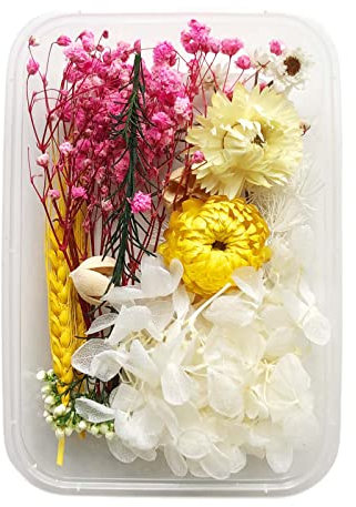 Beluapi - Fiori secchi pressati, foglie di petali per artigianato, eucalipto, margherite, ortensia, felce, gipsopila, crisantemo, rosa, misti e assortiti