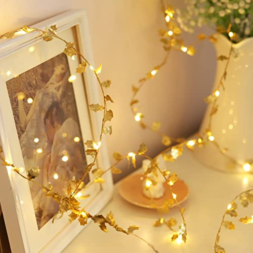 LICHENGTAI LED Lichterkette, 2M 20LEDs Goldene Blätter Lichterkette Warmweiß Lichtervorhang Batteriebetriebene Weihnachten Licht Dekoration für Weihnachten Geburtstag Hochzeit DIY Hause Dekoration