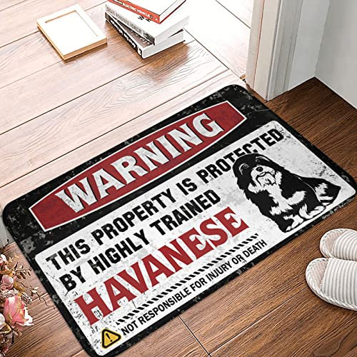 CakJuice Décoration de terrasse amusante - Avertissement : cette propriété est protégée par un tapis havanais hautement formé - Tapis de porte seul - Décoration de bar vintage (taille : 65 x 90 cm)