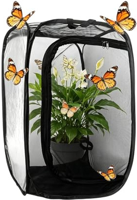 Fjärilsbur - 40 x 40 x 60 cm hopfällbar nyckelpigehabitat,Med dragkedja genomskinlig nätfjärilsbur | för plantskola, fruktträd, bärbuske, uteplats, växthus och