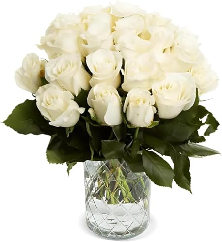 Blume Ideal Rosenstrauß | 70 Weiße Rosen | Ø 40–50 cm | Echte Premium Rosen für Hochzeit & Deko | 7 Tage Frischegarantie | In verschiedenen Farben und Mengen