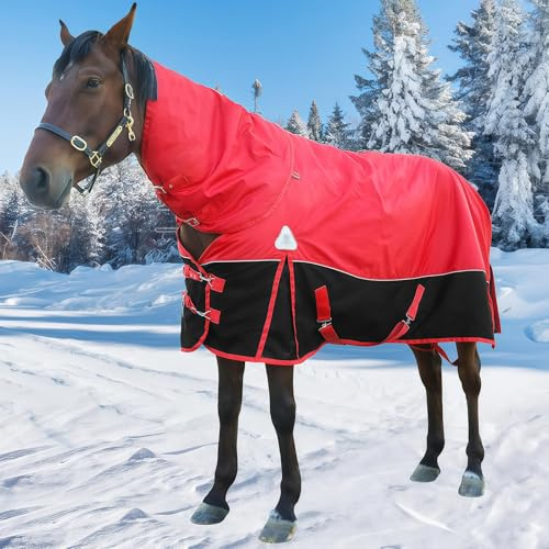 SHAIRMB Pferdedecken Mit Sattelgurt, wasserdichte Winterdecke FüR Pferde (1680d), 400 G Warme BaumwollfüLlung, Abnehmbarer Weidehalsbezug,Rot,EU 145 cm