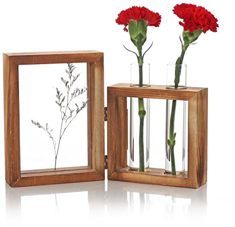 Stazione di Propagazione delle Piante, con Supporto in Legno e 2 Fioriere per Provette in Vetro, Telaio in Legno per Provette Idroponiche in Vetro, Vaso da Fiori, Ornamento da Tavolo per Piantare