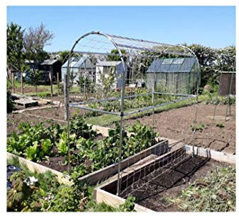 Pea and Bean Domed Frame Garden Outdoor Plant Support Structure (2m)