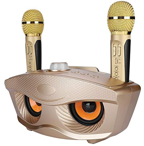 Elprico Drahtloses tragbares Bluetooth 2X-Mikrofon DJ Home Karaoke Speaker System Machine(Golden)
