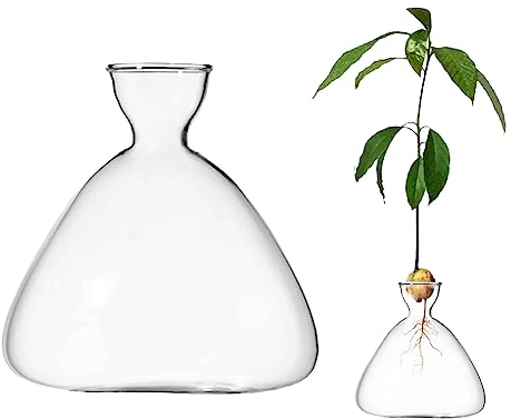 CDIYTOOL Glas-Avocado-Samen-Sprossen-Startervase, klare Avocado-Baum-Wachstumsvasen, Glas-Gartensamen-Starter-Pflanzvase für Zuhause, Tisch, Schreibtisch, Innendekoration