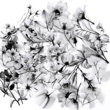 50Stück Transparent Schwarze und weiße Blumen Aufkleber für Motorrad,Fahrrad,Stoßstange,Laptop,Auto,Niedlich Pflanzen Vinyl Decal,Kinder Erwachsene Geschenk,Flower Aesthetic Graffiti Sticker