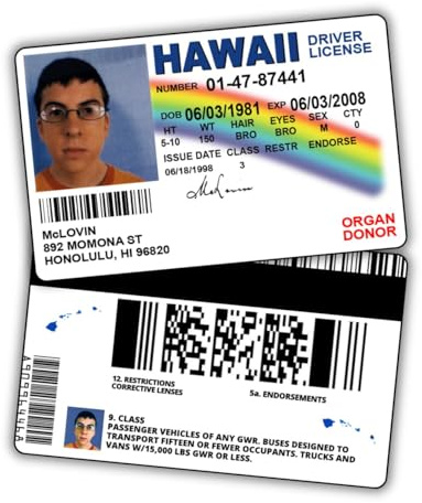 McLovin Permis de Conduire d'identification Superbad/Article de Farce/Faux permis d'identité/Double Face/Excellent complément pour Costumes/qualité Professionnelle