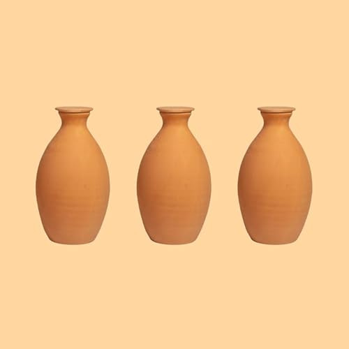 Lutoya | Olla artisanal fait-main 100% céramique | Diffuseur d'eau autonome pour un jardin en bonne santé | Irrigation lente | Facile, résistant et efficace | Oya Europe - Product pack (Moyen 2L)